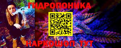 СК Гусь-Хрустальный