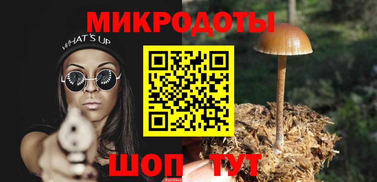 Псилоцибиновые грибы Psilocybine cubensis Киров